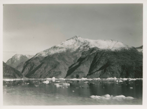 Image of Entrance Ice Fiord